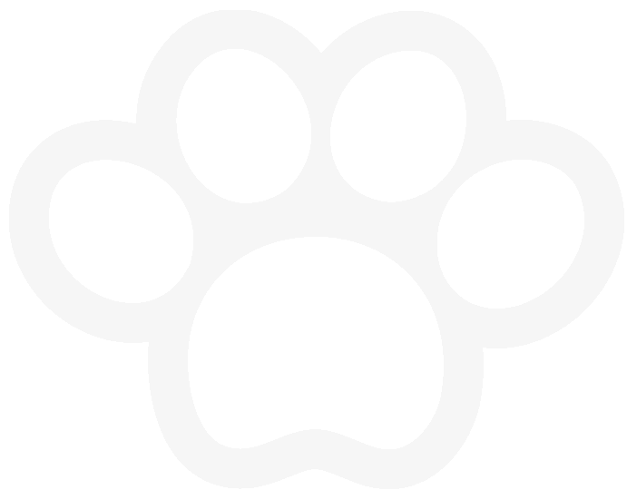 branding icon